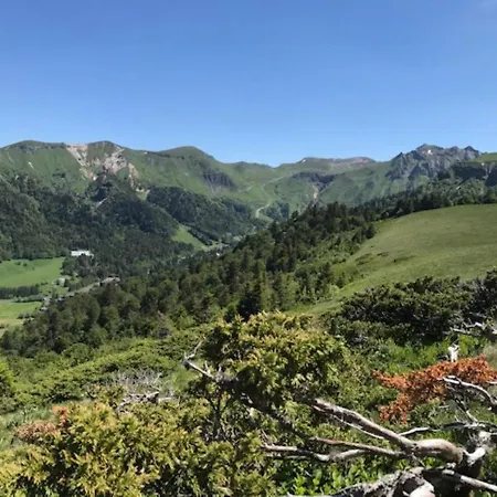 Duplex Au Mont-dore Avec Wifi Et Parking Privatif - Fr-1-608-51 *