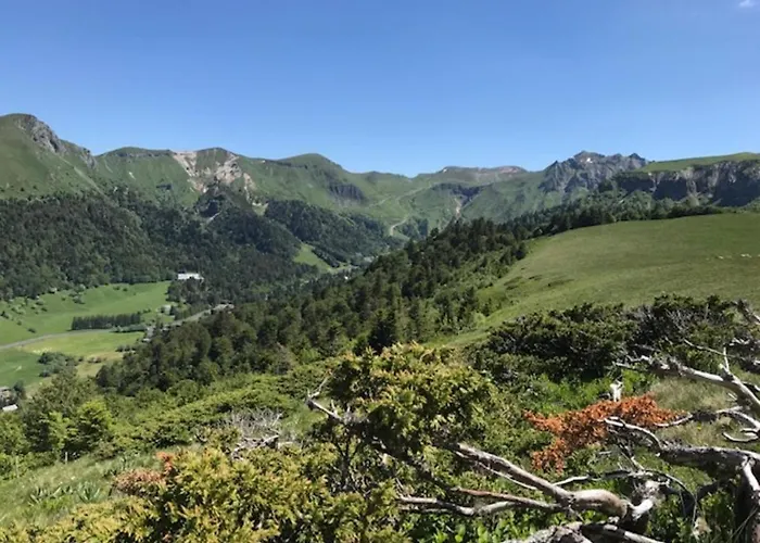 Duplex Au Mont-dore Avec Wifi Et Parking Privatif - Fr-1-608-51 *