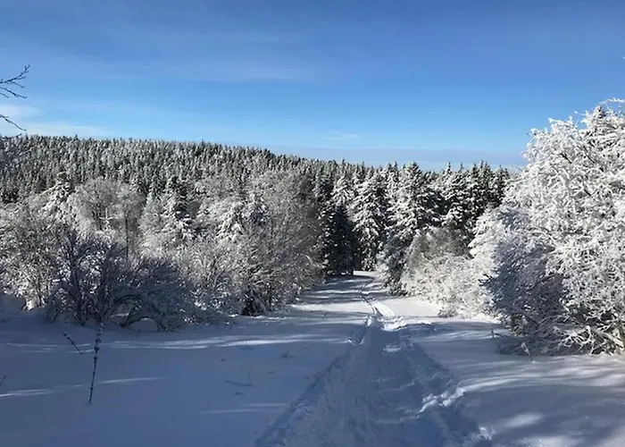 Duplex Au Mont-dore Avec Wifi Et Parking Privatif - Fr-1-608-51