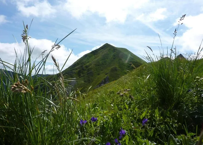 Duplex Au Mont-dore Avec Wifi Et Parking Privatif - Fr-1-608-51 Apartamento