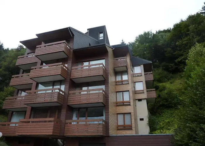 Duplex Au Mont-dore Avec Wifi Et Parking Privatif - Fr-1-608-51 Apartamento